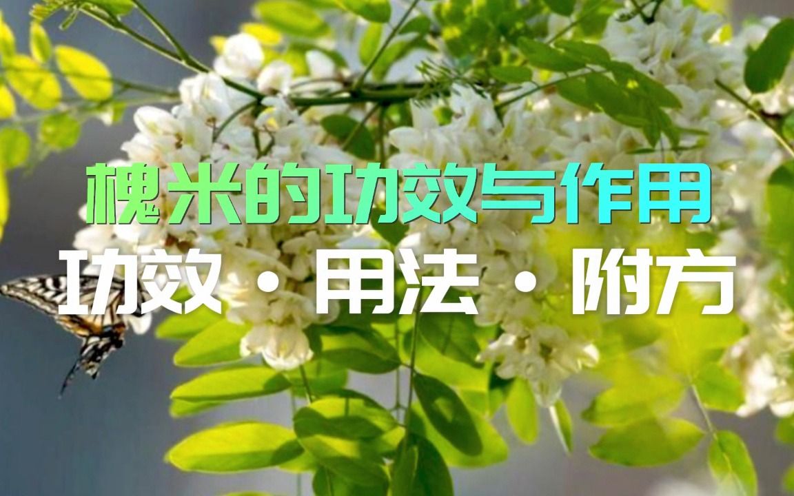 和血明目片的功效与作用(和血明目片：缓解眼疲劳，改善视力) ...