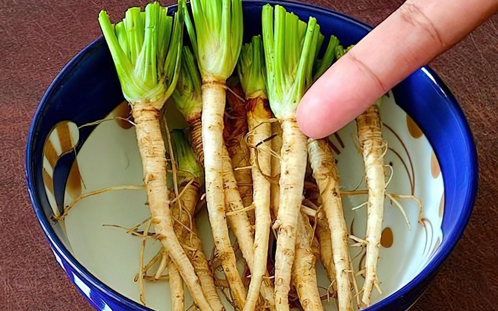 香菜根水的功效与作用(香菜根水的神奇功效，美容养颜必备)