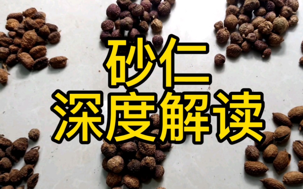 春砂仁蜜的功效与作用(春砂仁蜜：润肺止咳，缓解疲劳)